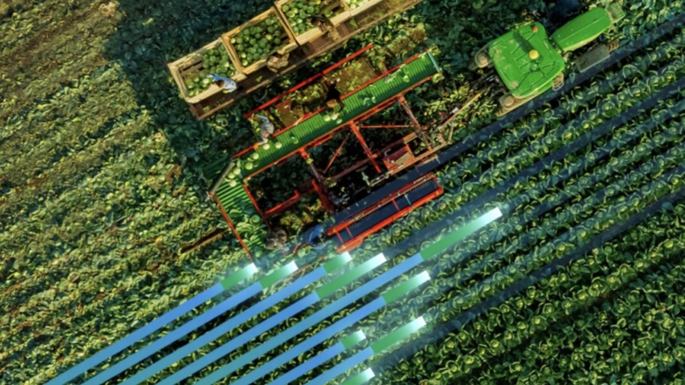 Aerial view of a harvest with supply-chain tracking lines, for CHEP Digital
